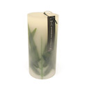 Infused Bamboo Leaves Candle