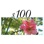 $100 Loving Lotus Gift Certificate