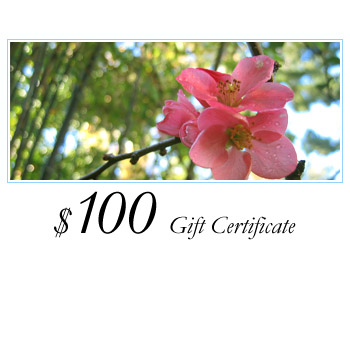 $100 Loving Lotus Gift Certificate