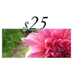 $25 Loving Lotus Gift Certificate